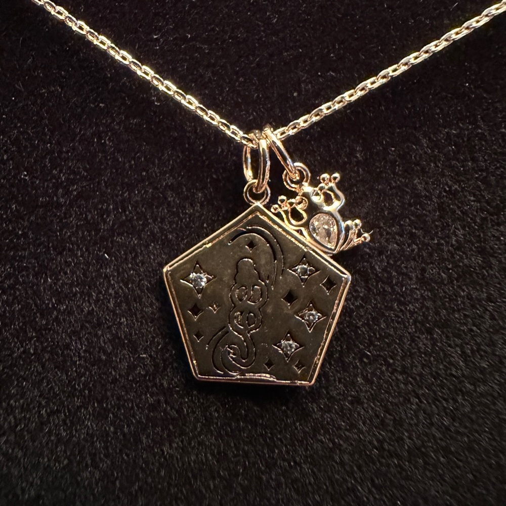 Harry Potter chocolate frog card necklace with death eater symbol and frog charm